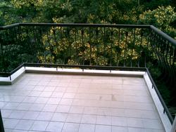 Tanglin Park (D10), Condominium #63291042